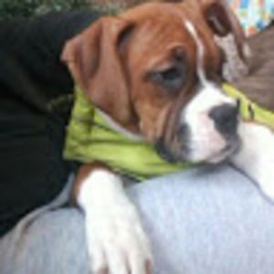 Meet your Posher, Kya-lee